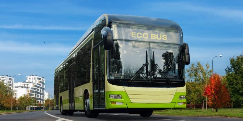 BasiGo E9 Kubwa electric bus.