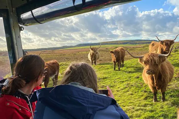 A new electric safari car will aid conservation efforts in Kenya